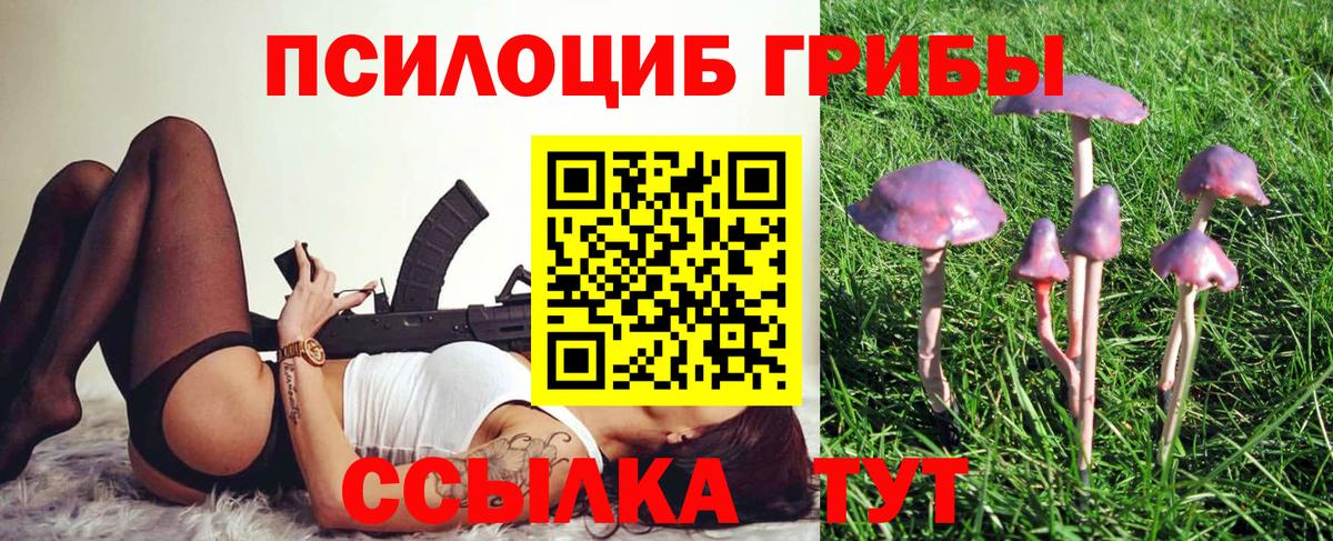 Псилоцибиновые грибы мухоморы Острогожск